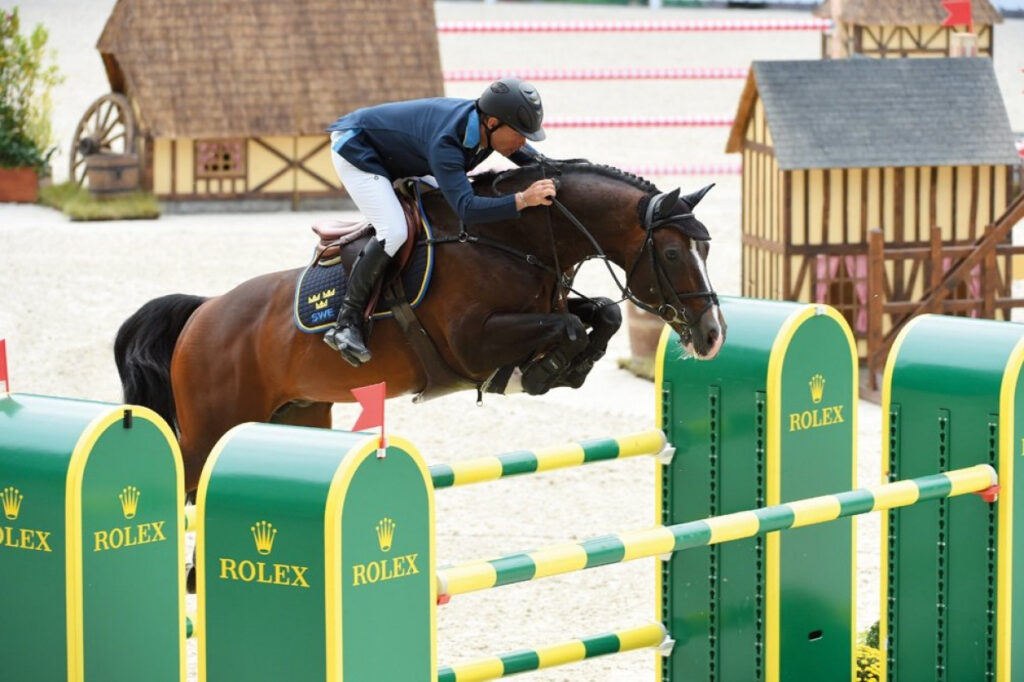 Casall över hinder RGB Holsteiner hingstar