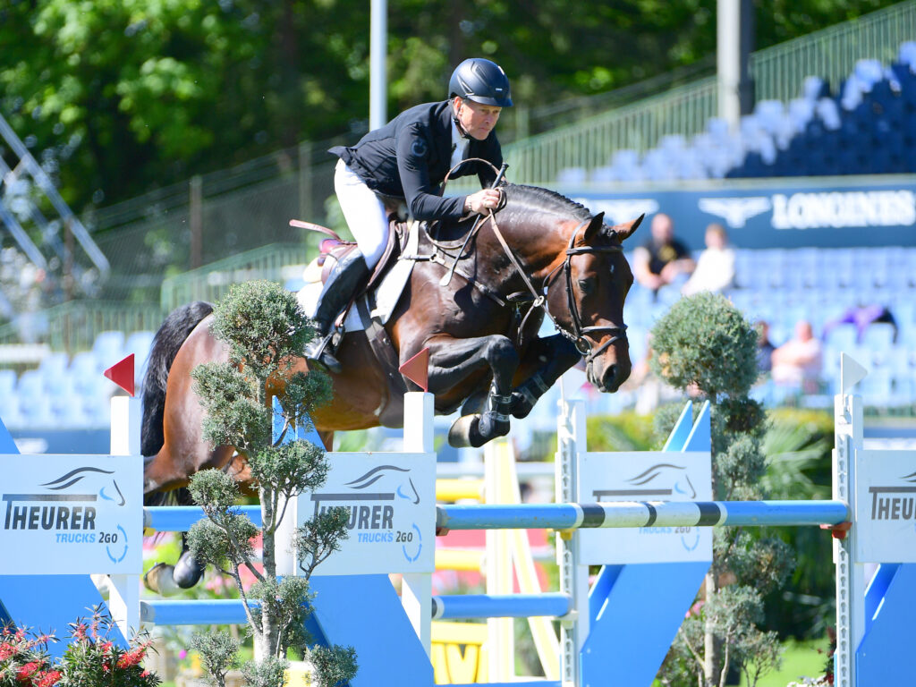 Charaktervoll hinder Holsteiner hingstar