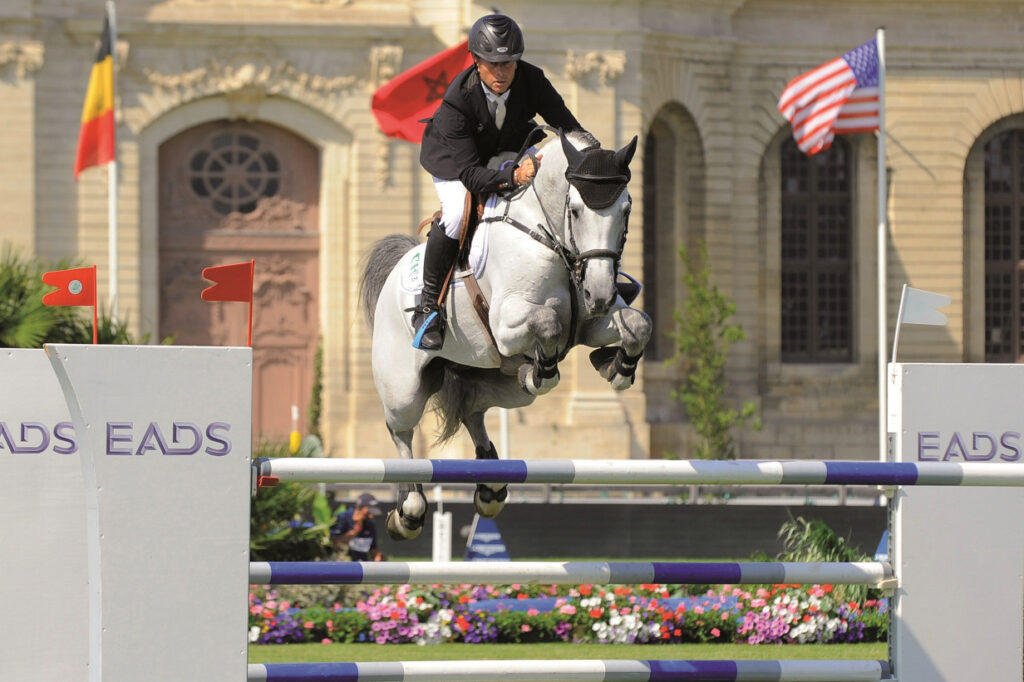 Clarimo RGB Holsteiner hingstar