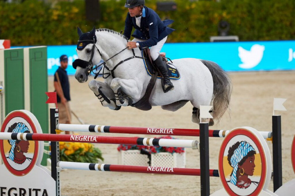 Clarimo hopp tre kronor Holsteiner hingstar