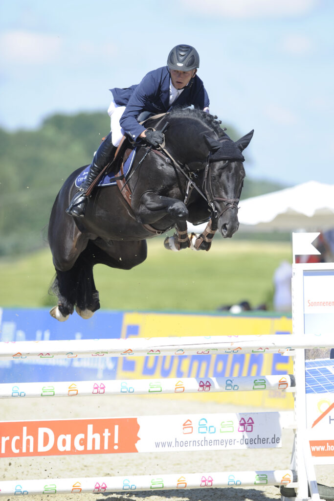 Diarado riden av Bastian Frese Hagen 2010 Holsteiner hingstar