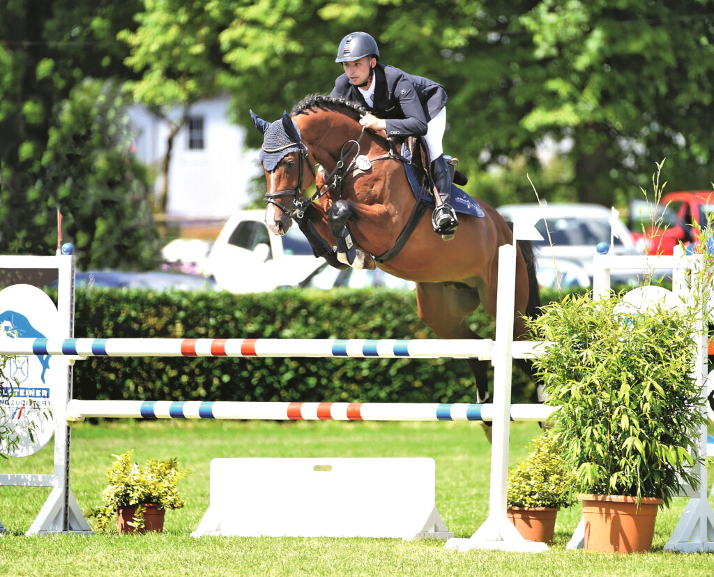 Dinken på tävlingsbanan Holsteiner hingstar