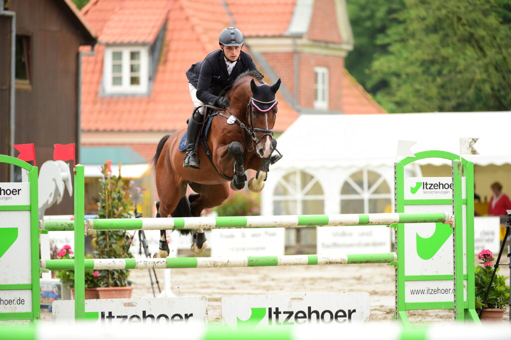 Dinken på tävlingsbanan Holsteiner hingstar