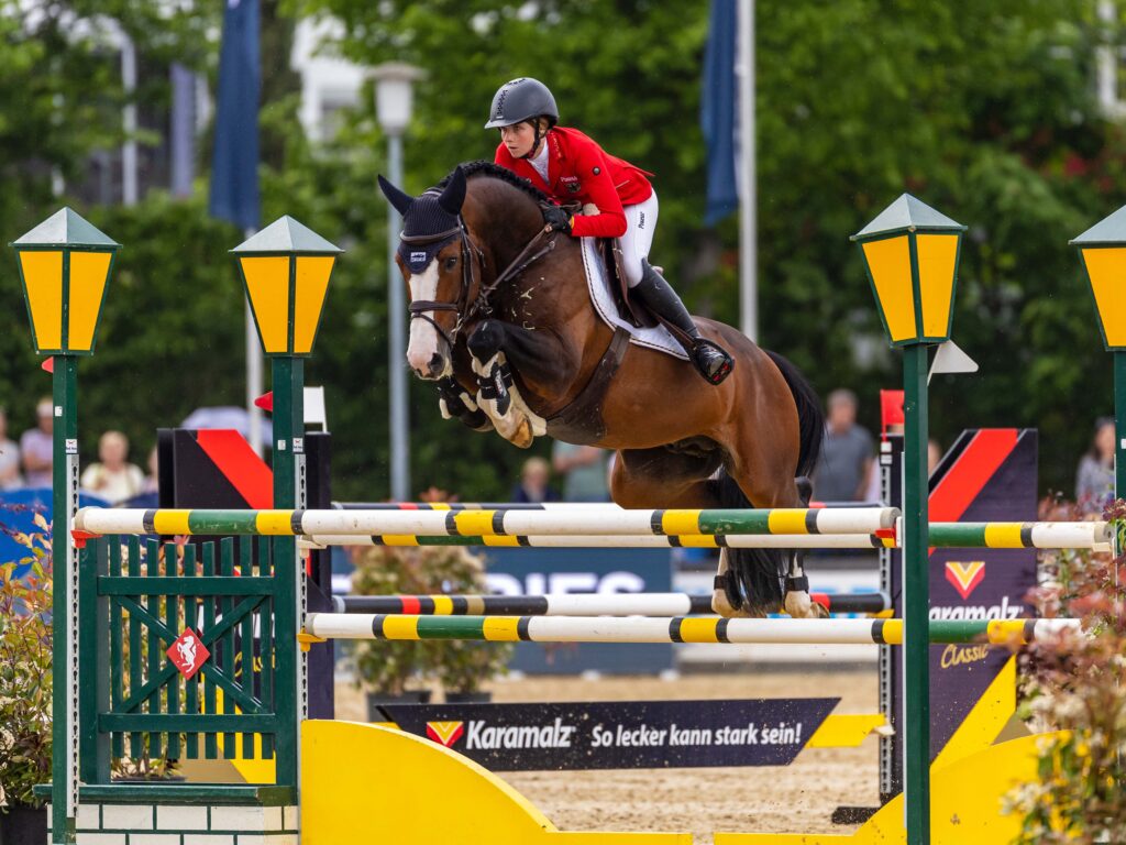 HINNERS Sophie (GER), Million Dollar Holsteiner hingstar