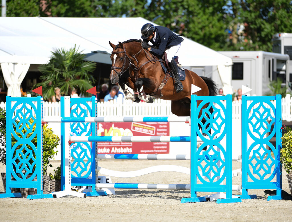 Keaton Arne van Heel JB Holsteiner hingstar