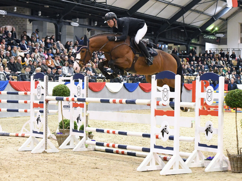 Million's Way cisning 2 Holsteiner hingstar