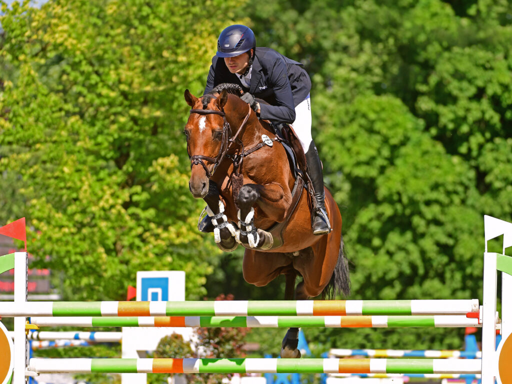 United Way hopp Holsteiner hingstar