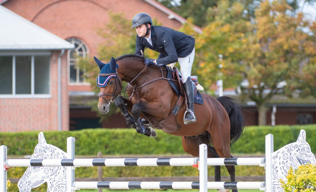 United Way_Lucas Wenz_Cut Holsteiner hingstar